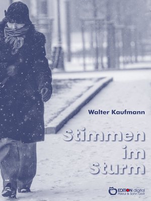 cover image of Stimmen im Sturm